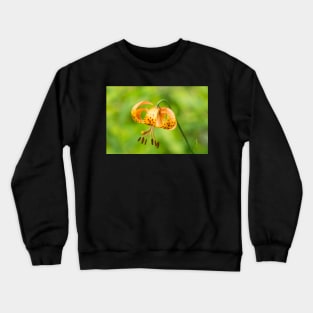 Lily Crewneck Sweatshirt